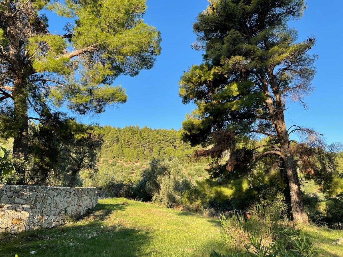 Novecento Apartment Vieste